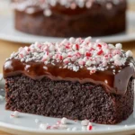 Peppermint Flourless Chocolate Cake – A Rich Dessert for Dinner Recipes First Image